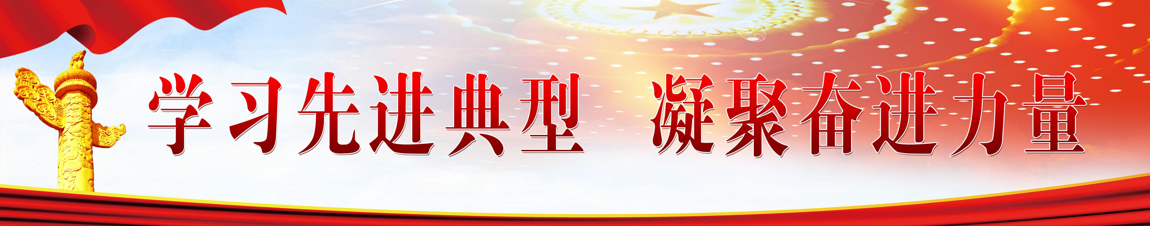 学习先进典范  凝聚奋进力量